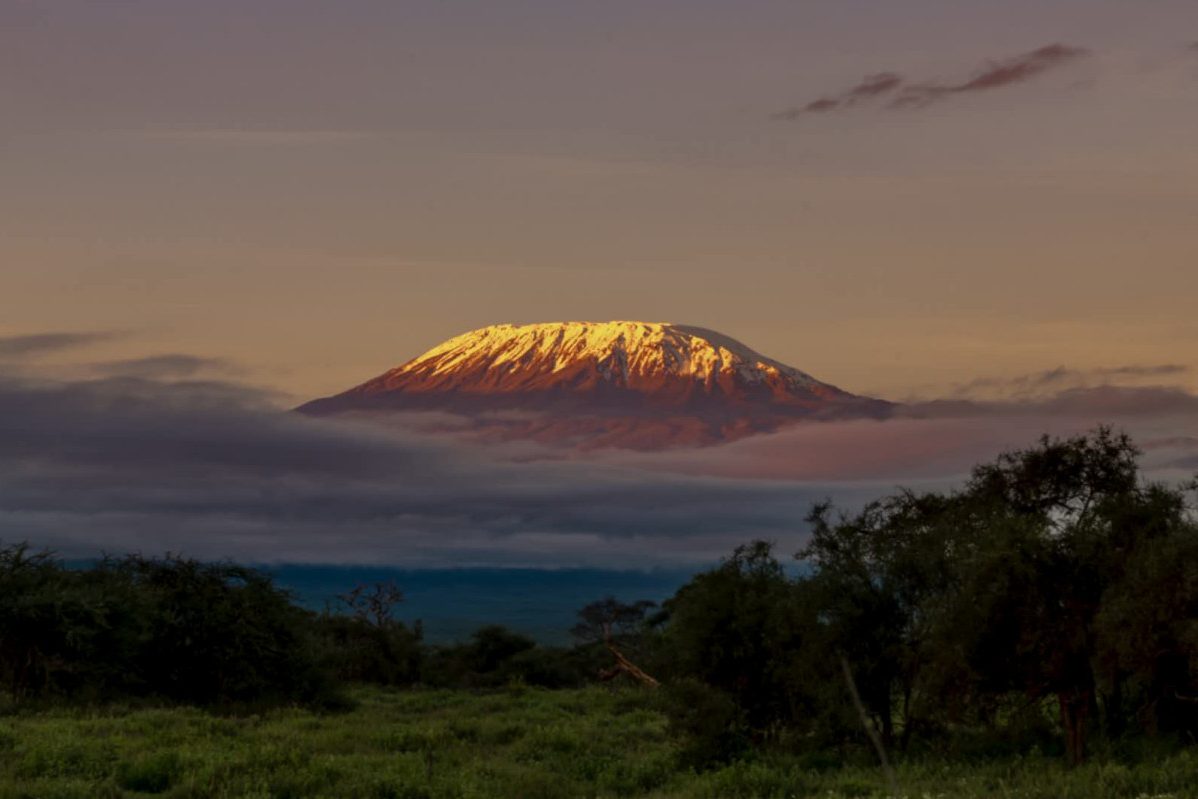 Kilimanjaro